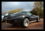 Corvette 1979.DNG